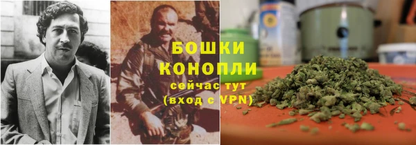 прущие крисы Костерёво