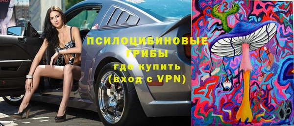 дмт Краснослободск