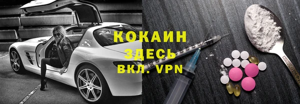 дмт Краснослободск