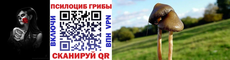 Псилоцибиновые грибы GOLDEN TEACHER  купить  сайты  Чудово 
